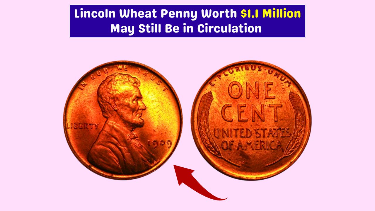 1909 Lincoln Wheat Penny